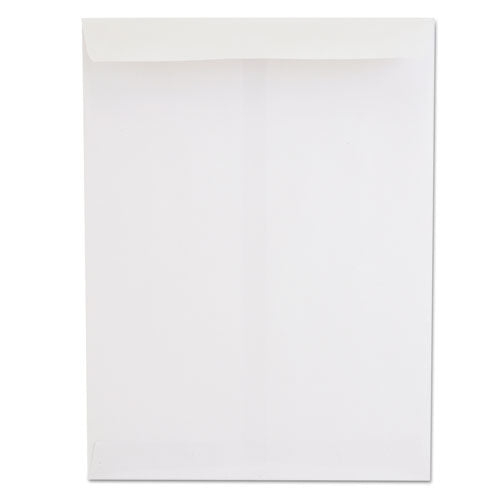 ENVELOPE,CAT,9X12,WE,24#