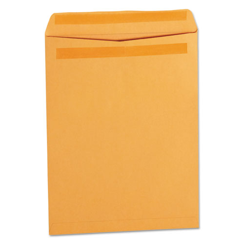 ENVELOPE,CAT,9.5X12.5,28#