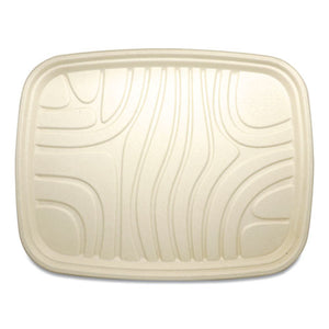 TRAY,FIBER,14X18X1,100,NT