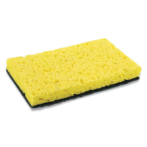 SPONGE,HVYDTY,WRPD,GN