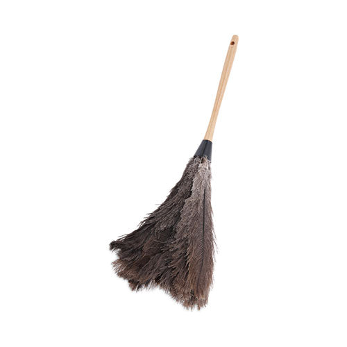DUSTER,OSTRCH FTHR,20