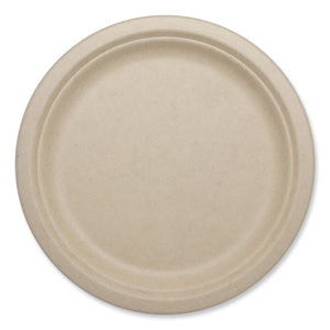 PLATE,FIBER,10",800/CT,NT