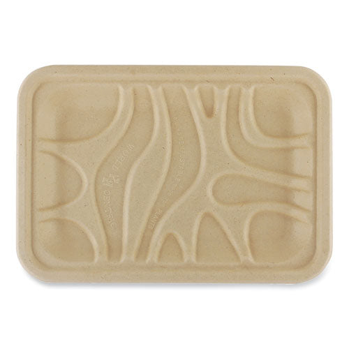 TRAY,FIBER,8X6X0.7,500,NT