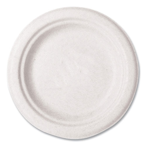 PLATE,6