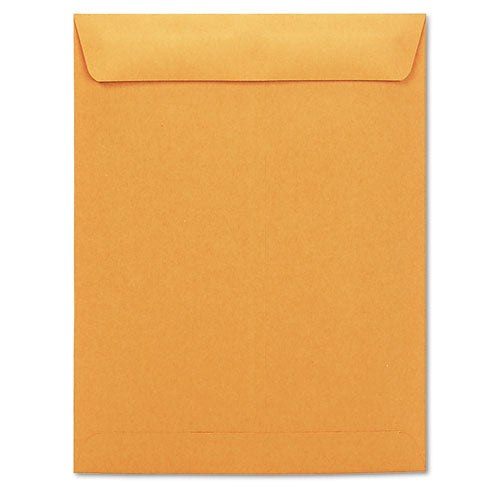 ENVELOPE,CAT,10X13,BN,20#