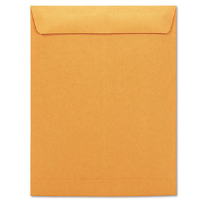 ENVELOPE,CAT,10X13,BN,20#